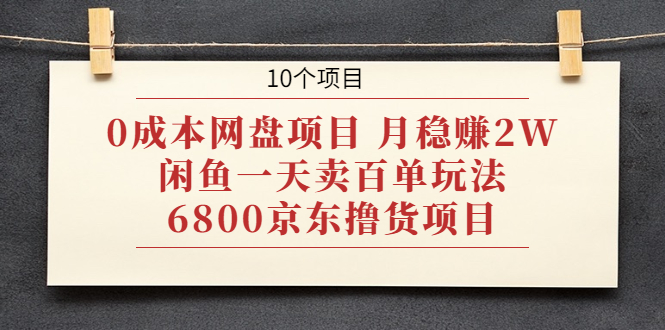 0成本网盘项目 月稳赚2W+闲鱼一天卖百单玩法+6800京东撸货项目 (10个项目)-云网创资源站