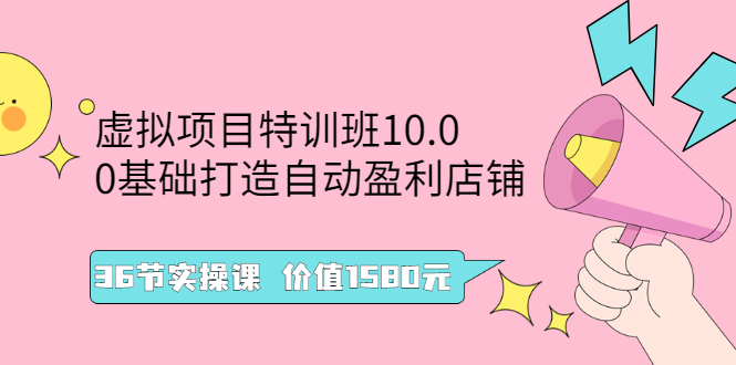 虚拟项目特训班10.0，0基础打造自动盈利店铺 36节实操课-云网创资源站