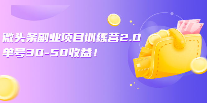 微头条副业项目训练营2.0：单号30-50收益！-云网创资源站