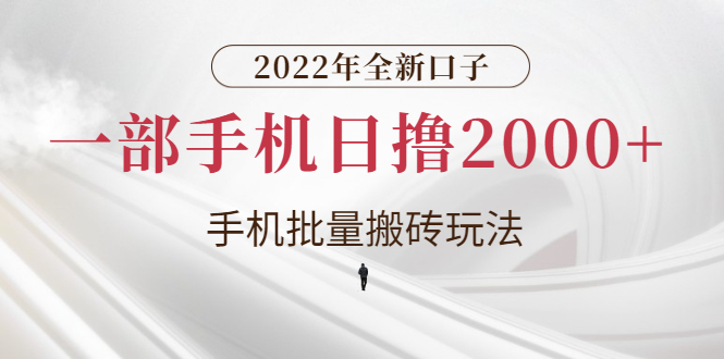 2022年全新口子，手机批量搬砖玩法，一部手机日撸2000+-云网创资源站