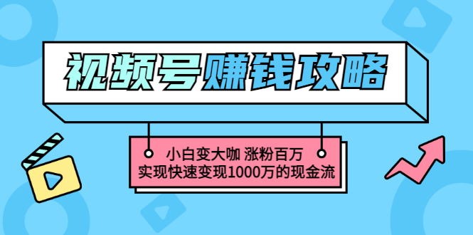 玩转微信视频号赚钱：小白变大咖 涨粉百万 实现快速变现1000万的现金流-云网创资源站