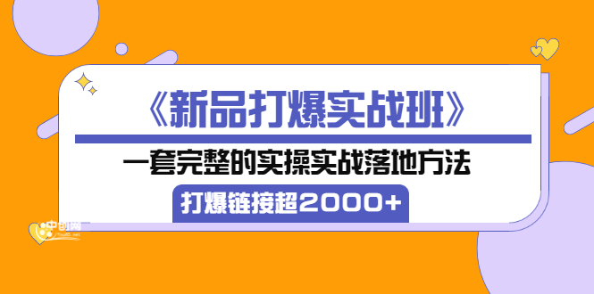 《新品打爆实战班》一套完整的实操实战落地方法，打爆链接超2000+（28节课)-云网创资源站