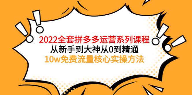 2022全套拼多多运营课程，从新手到大神从0到精通，10w免费流量核心实操方法-云网创资源站