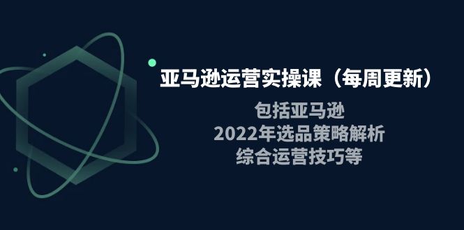 亚马逊运营实操课包括亚马逊2022选品策略解析，综合运营技巧等-云网创资源站