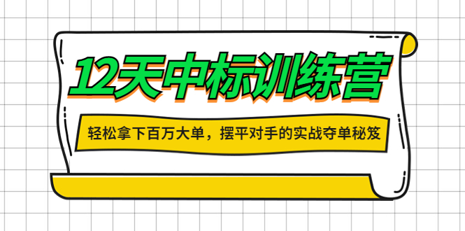 12天中标训练营：轻松拿下百万大单，摆平对手的实战夺单秘笈！-云网创资源站