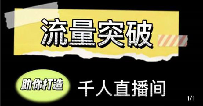 直播运营实战视频课，助你打造千人直播间-云网创资源站