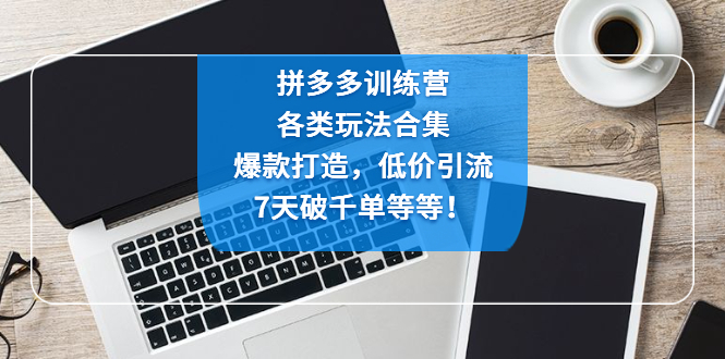 拼多多训练营：各玩法合集，爆款打造，低价引流，7天破千单等等！-云网创资源站