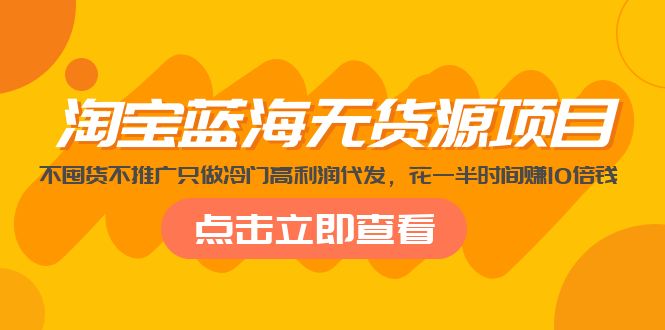 淘宝蓝海无货源项目，不囤货不推广只做冷门高利润代发，花一半时间赚10倍钱-云网创资源站