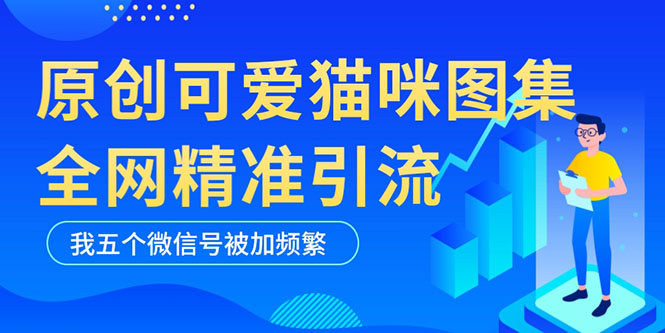 黑科技纯原创可爱猫咪图片，全网精准引流，实操5个VX号被加频繁-云网创资源站