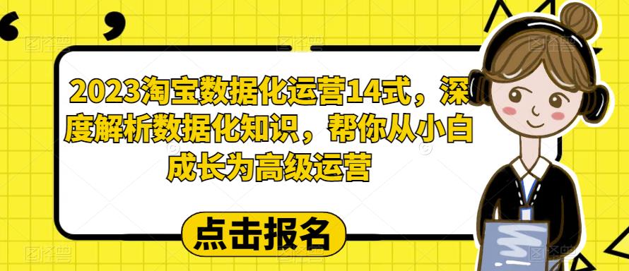 2023淘宝数据化-运营 14式，深度解析数据化知识，帮你从小白成长为高级运营-云网创资源站