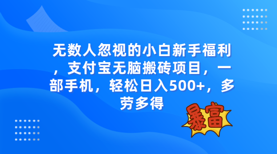 无数人忽视的项目，支付宝无脑搬砖项目，一部手机即可操作，轻松日入500+-云网创资源站