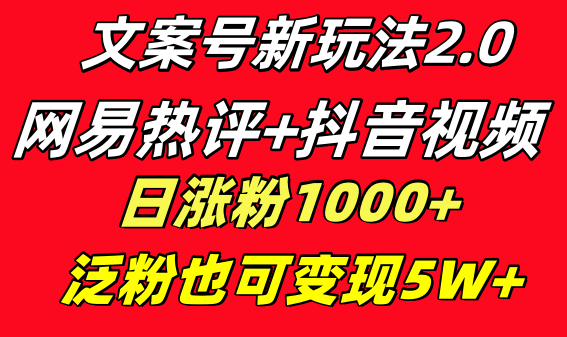 文案号新玩法 网易热评+抖音文案 一天涨粉1000+ 多种变现模式 泛粉也可变现-云网创资源站