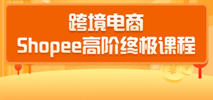 2020跨境电商蓝海新机会-shopee大卖特训营：高阶终极课程-云网创资源站