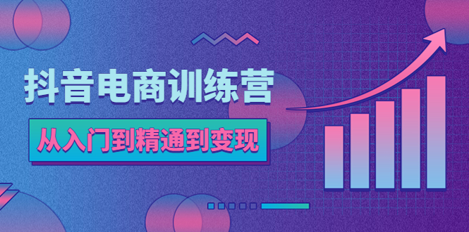 抖音电商训练营：从入门到精通，从账号定位到流量变现，抖店运营实操-云网创资源站