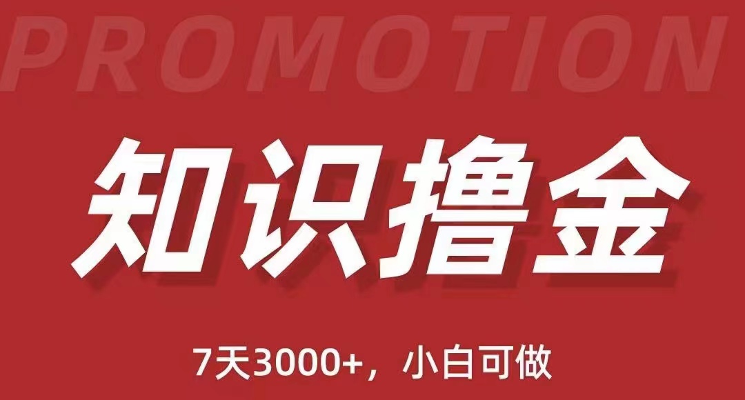 抖音知识撸金项目：简单粗暴日入1000+执行力强当天见收益(教程+资料)-云网创资源站