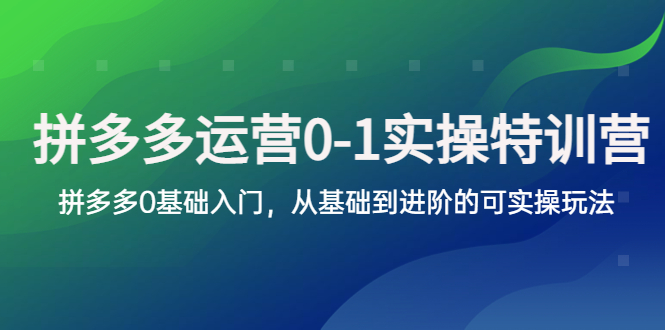 拼多多-运营0-1实操训练营，拼多多0基础入门，从基础到进阶的可实操玩法-云网创资源站