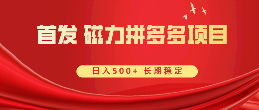 首发 磁力拼多多自撸  日入500+-云网创资源站