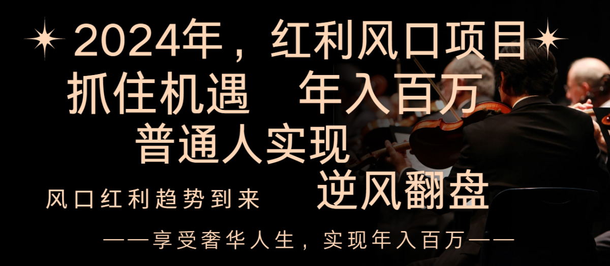 2024红利风口项目来袭，享受第一波红利，逆风翻盘普通人也能实现，年入百万-云网创资源站