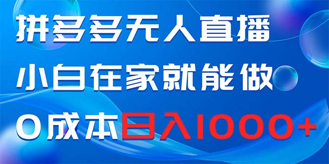 拼多多无人直播，小白在家就能做，0成本日入1000+-云网创资源站