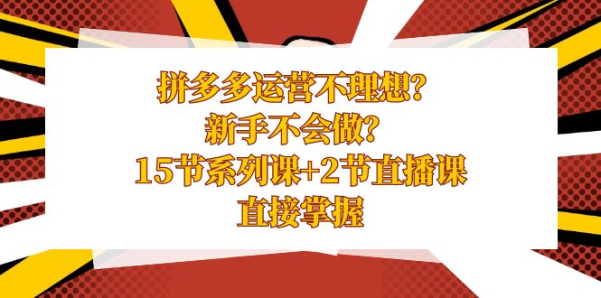 拼多多运营不理想？新手不会做？15节系列课+2节直播课，直接掌握-云网创资源站