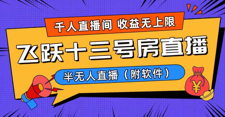 爆火飞跃十三号房半无人直播，一场直播上千人，日入过万！-云网创资源站