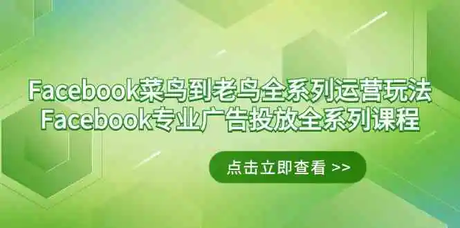 Facebook-菜鸟到老鸟全系列运营玩法+Facebook-专业广告投放全系列课程-云网创资源站