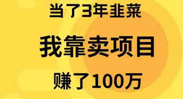 当了3年韭菜，我靠卖项目赚了100万-云网创资源站