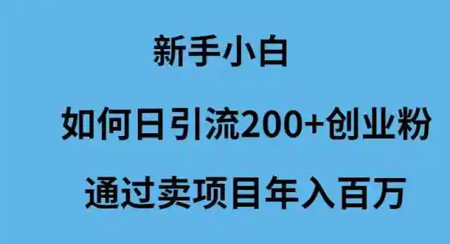 新手小白如何日引流200+创业粉通过卖项目年入百万-云网创资源站