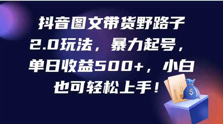 抖音图文带货野路子2.0玩法，暴力起号，单日收益500+，小白也可轻松上手！-云网创资源站