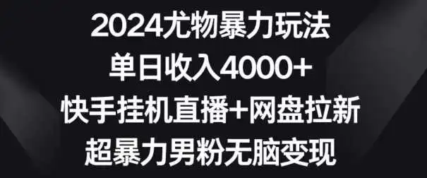 2024尤物暴力玩法，单日收入4000+，快手挂机直播+网盘拉新，超暴力男粉无脑变现【揭秘】-云网创资源站