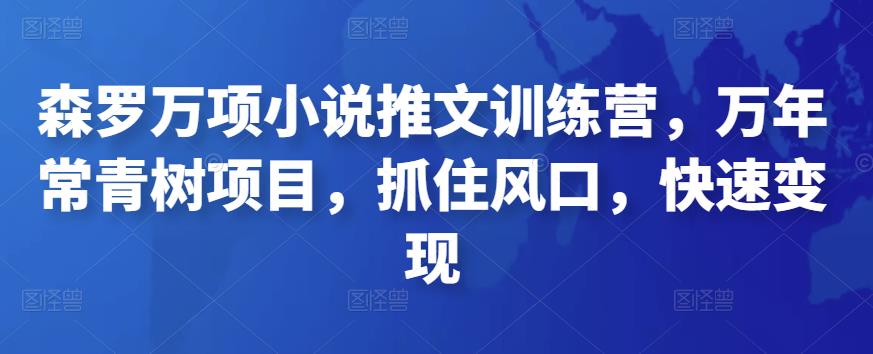 森罗万项小说推文训练营，万年常青树项目，抓住风口，快速变现-云网创资源站