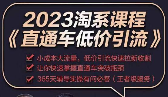 2023直通车低价引流玩法课程，小成本大流量，低价引流快速拉新收割，让你快速掌握直通车突破瓶颈-云网创资源站