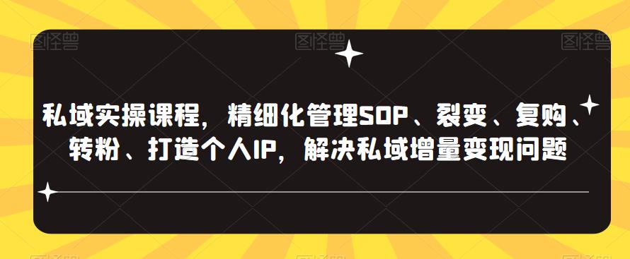 私域实操课程，精细化管理SOP、裂变、复购、转粉、打造个人IP，解决私域增量变现问题-云网创资源站