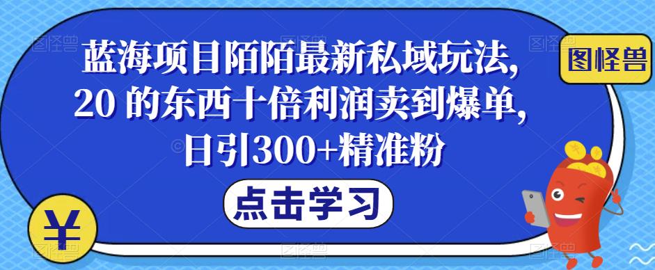 蓝海项目陌陌最新私域玩法，20 的东西十倍利润卖到爆单，日引300+精准粉【揭秘】-云网创资源站