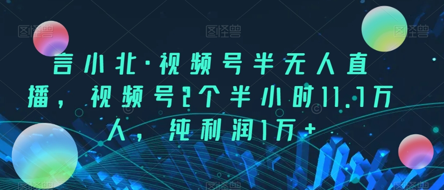 言小北·视频号半无人直播，视频号2个半小时11.7万人，纯利润1万+-云网创资源站