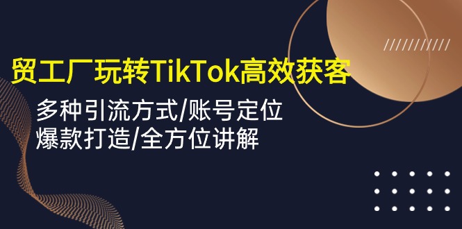 外贸工厂玩转TikTok高效获客，多种引流方式/账号定位/爆款打造/全方位讲解-云网创资源站