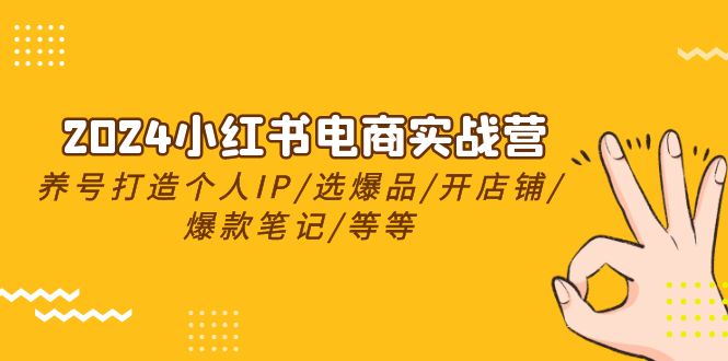 2024小红书电商实战营，起号打造出IP/选爆款/开店铺/爆品手记/等-云网创资源站