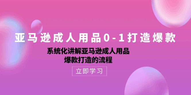 亚马逊平台两性用品0-1推出爆款：专业化解读亚马逊平台两性用品爆款打造的操作流程-云网创资源站