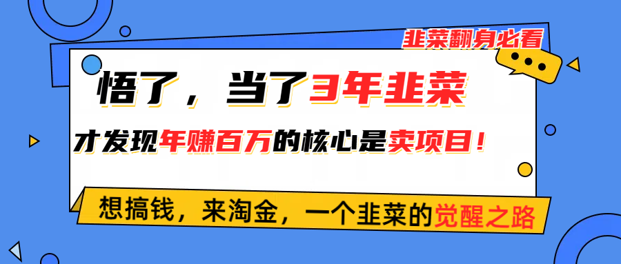 悟了，当了3年韭菜，才发现网赚圈年赚100万的核心是卖项目，含泪分享！-云网创资源站