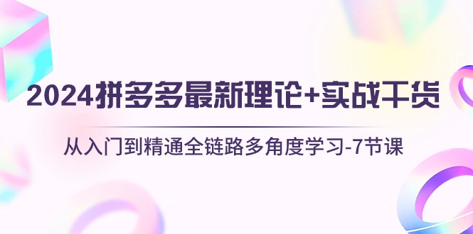 2024拼多多 最新理论+实战干货，从入门到精通全链路多角度学习-7节课-云网创资源站