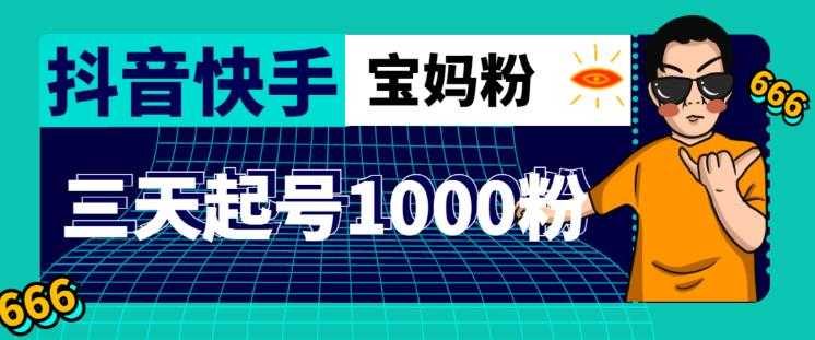 抖音快手三天起号涨粉1000宝妈粉丝的核心方法【详细玩法教程】-云网创资源站