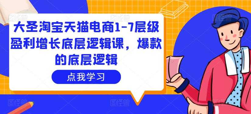 大圣淘宝天猫电商1-7层级盈利增长底层逻辑课，爆款的底层逻辑-云网创资源站