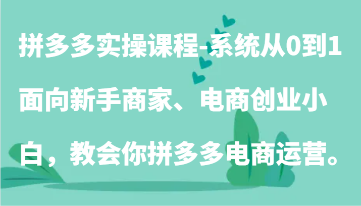 拼多多实操课程-系统从0到1，面向新手商家、电商创业小白，教会你拼多多电商运营。-云网创资源站