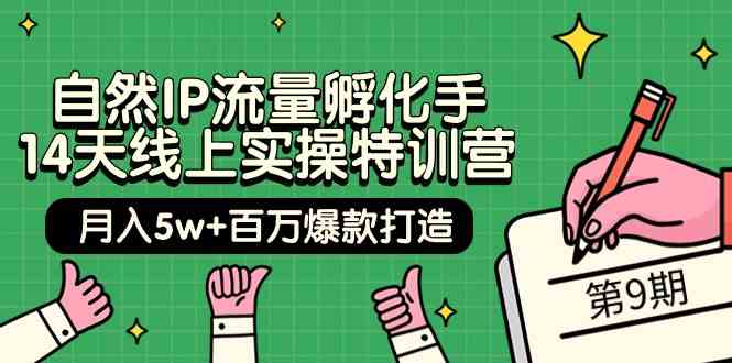 自然IP流量孵化手14天线上实操特训营【第9期】月入5w+百万爆款打造 (74节)-云网创资源站