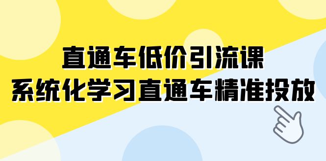 直通车-低价引流课，系统化学习直通车精准投放（14节课）-云网创资源站