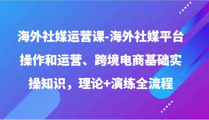 海外社媒运营课-海外社媒平台操作和运营、跨境电商基础实操知识，理论+演练全流程-云网创资源站