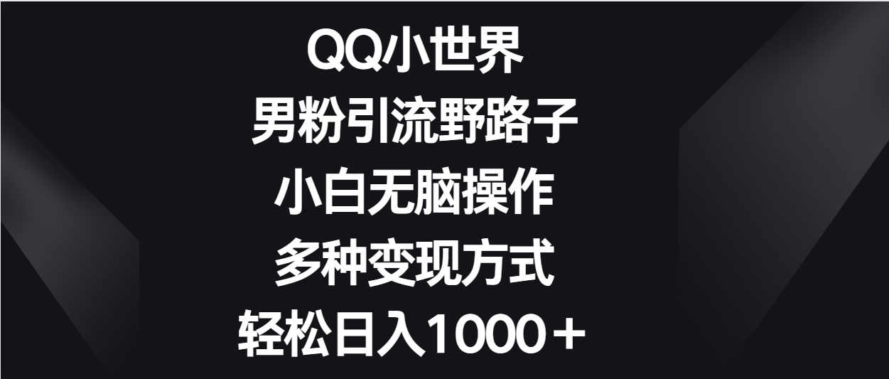 QQ小世界男粉引流野路子，小白无脑操作，多种变现方式轻松日入1000＋-云网创资源站