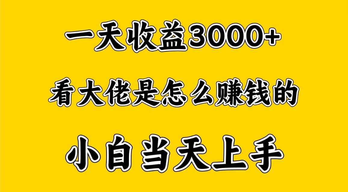 一天赚3000多，大佬是那样赚大钱的，新手当日入门，穷人翻身新项目-云网创资源站