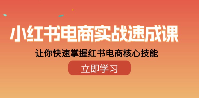 小红书电商实战演练速成课，让你快速把握小红书电子商务核心技能（28课）-云网创资源站