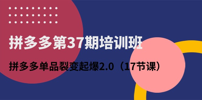 拼多多第37期培训班：拼多多单品裂变起爆2.0（17节课）-云网创资源站